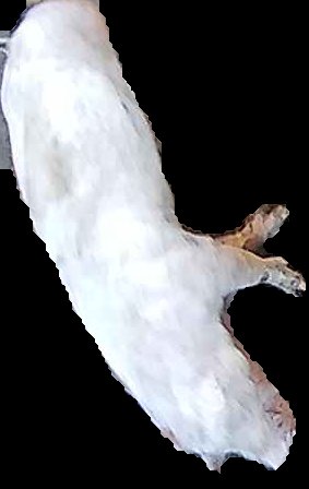 Crop