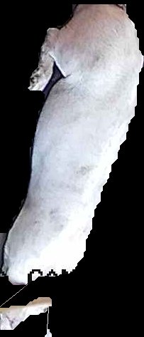 Crop