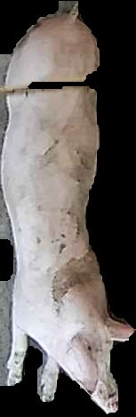 Crop