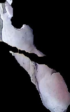 Crop