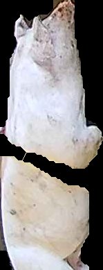 Crop