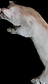 Crop