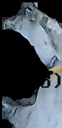 Crop