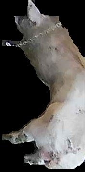 Crop