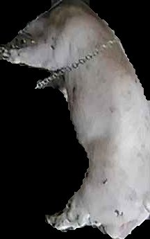 Crop