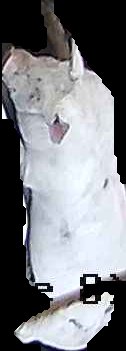 Crop