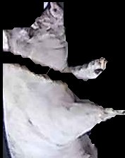 Crop