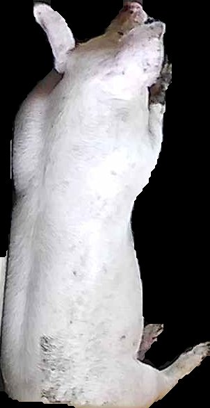 Crop