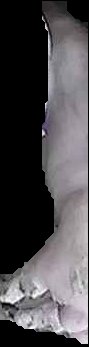 Crop
