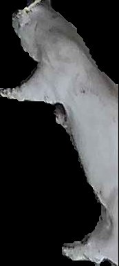 Crop