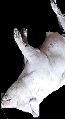 Crop