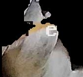 Crop