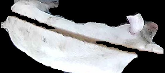 Crop