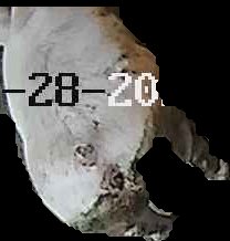 Crop