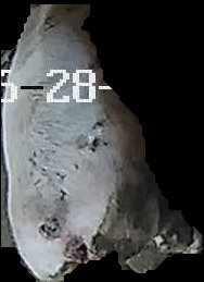 Crop