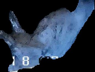 Crop