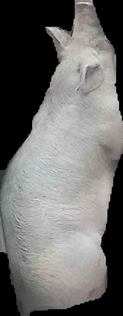 Crop