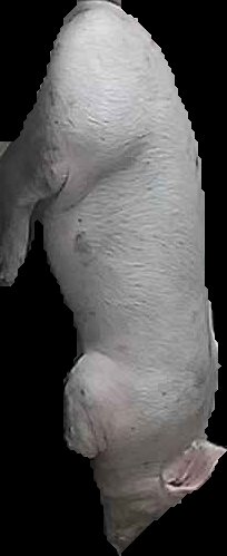 Crop
