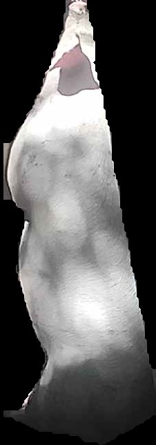 Crop