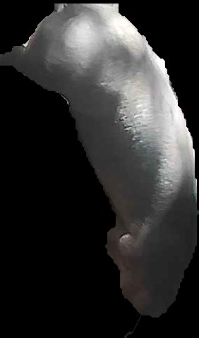 Crop