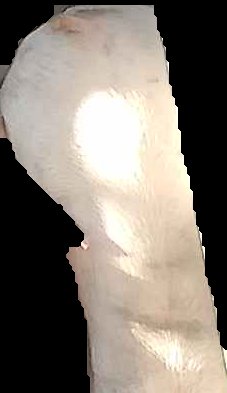 Crop