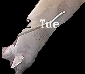 Crop