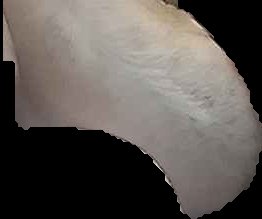 Crop