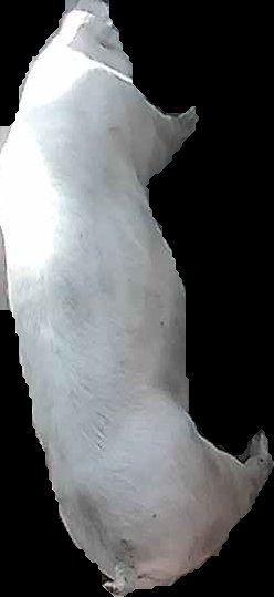 Crop