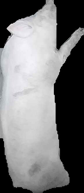 Crop