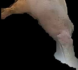 Crop