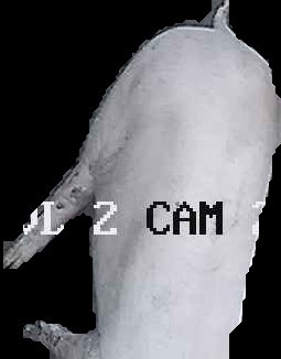Crop