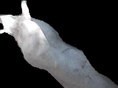 Crop