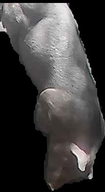 Crop