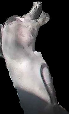 Crop