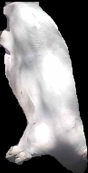 Crop