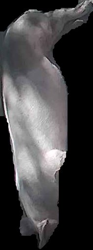 Crop
