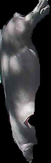 Crop