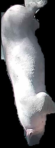 Crop