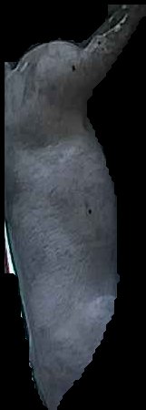Crop
