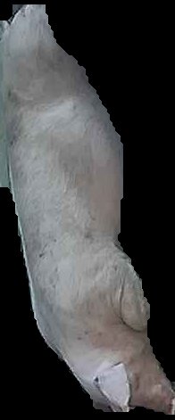 Crop