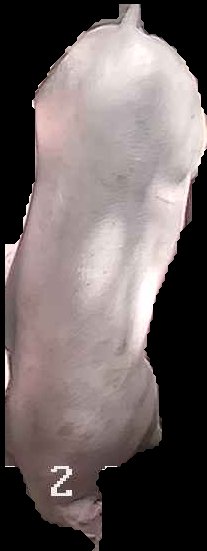 Crop