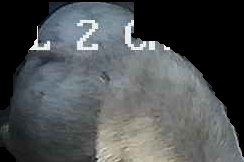 Crop