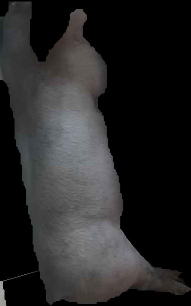 Crop