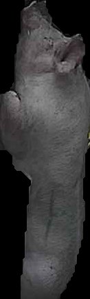 Crop