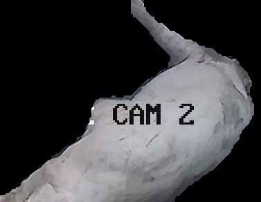 Crop