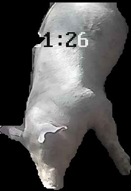 Crop