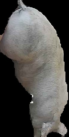 Crop