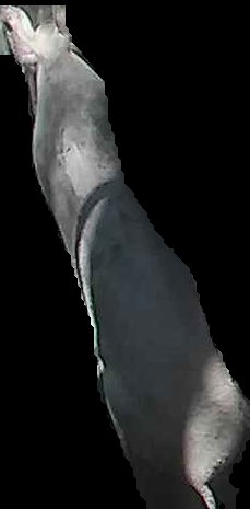 Crop