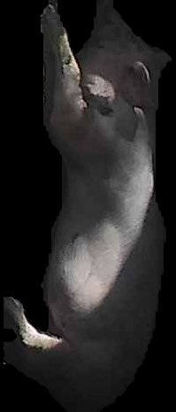 Crop