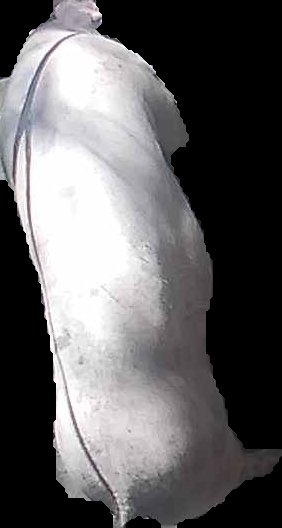 Crop